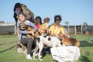 directiva- PRODEA- protectora de animalesdirectiva- PRODEA- protectora de animales